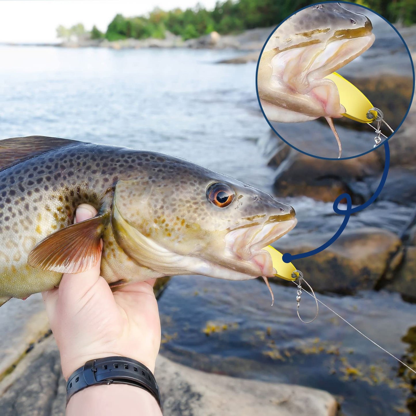 71hARsaT94L